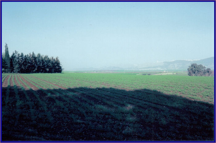 Fields surrounding Mount Tabor